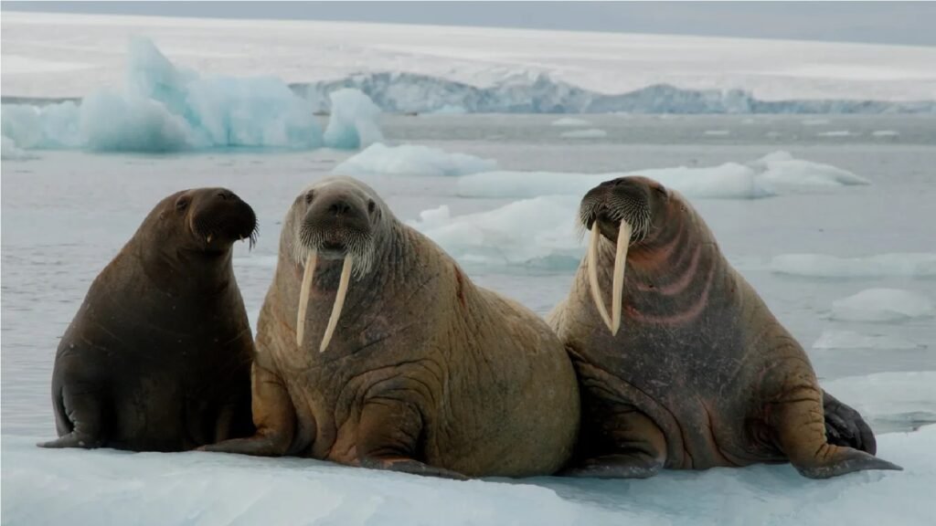 Dieses Bild hat ein leeres Alt-Attribut. Der Dateiname ist front3-1-1024x576.jpeg